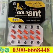 USA Gold Ant Timing Tablets in Pakistan