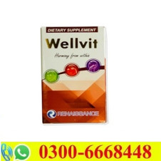 Wellvit Tablets Price in Pakistan